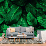 Papel De Parede Painel 3d Folhas Botanica Verde Escuro 4m