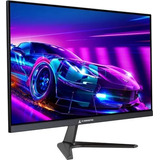 Monitor Gamer Ips Iceberg Destiny 22 75hz Hdmi Fullhd X221