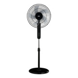 Ventilador 16  Pedestal Negro Irt