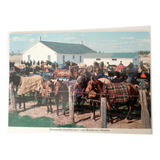Postal Familias Menonitas Elmira Ontario Canadá 80s