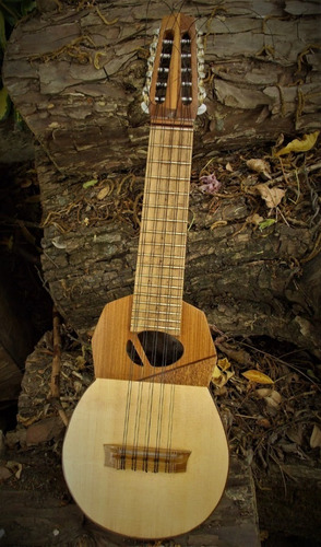 Charango Especial Luthier Garcia-berbery