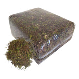 Musgo Esfagno Verde Tipo Graminha 1kg - Subsato Natural