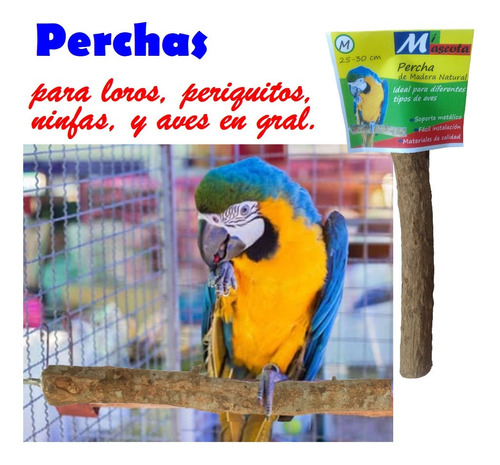 2 Perchas Madera Natural Recta 25-30 Cm Loros, Pericos, Aves