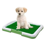 Baño Para Perros Mascotas Ecologico Educador Puppy Potty Pad