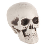 Accesorios De Halloween, Cabeza De Calavera, Esqueleto Human