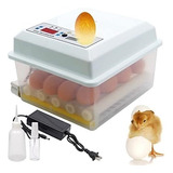 Incubadoras De 16 Huevo For Incubar Huevos Y Pájaro