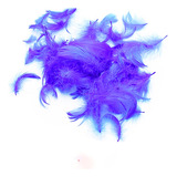 Plumas Decorativas Azul 100pcs