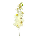 Flores Orquídeas Artificiales Secas Decoración 92cm