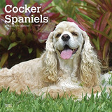 Cocker Spaniels 2019 12 X 12 Pulgadas Mensual Calendario De 