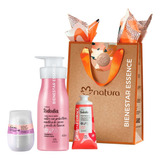 Kit Tododia Frutas Rojas Natura Regalo