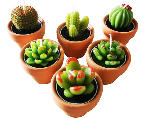 Velas De Té De Cactus Con Pequeño Soporte Para Macetas De Te