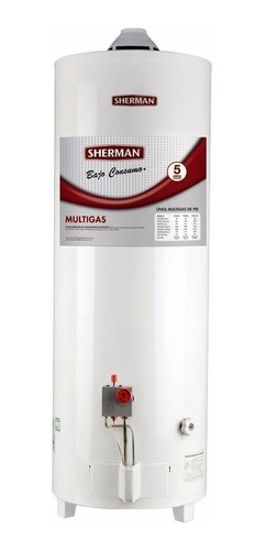 Termotanque Sherman (rheem) 80 Lts A Gas. Carga Sup. 