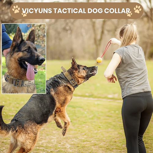 Vicyuns Collar De Perro Con Asa Para Razas Pequeñas, Mediana