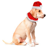 Fantasia Pet Natal Roupinha Cachorro Veludo Vermelho 2pç