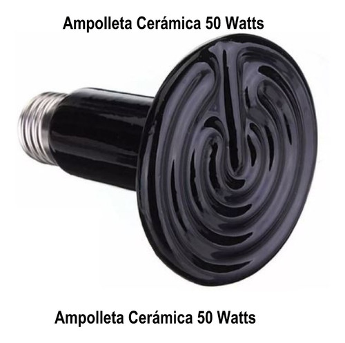 Ampolletas Calefactoras Pollitos, Erizos 50 Watts