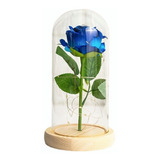 Flor Preservada Rosa Azul Regalo Para Ella
