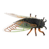 Modelo De Insectos En Miniatura