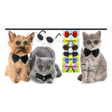 Gafas Para Mascotas - Genéricas - Unidad a $100