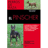 El Pinscher . Perros De Raza