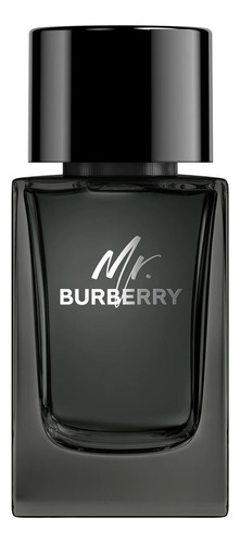 Mr Burberry Edp 100 Ml 3c