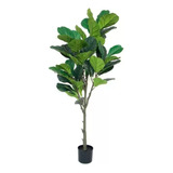 Planta Artificial Ficus Gomero Pandurata 1.2 M Maceta