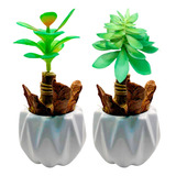 2 Vaso Decorativo Porcelana Planta Suculenta Artificial