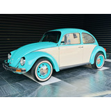Vw Sedan (beetle) Año:1995