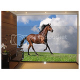 Adesivo De Parede Animais Cavalo Correndo Livre 3,5m² Anm105