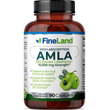 90cap Fruta Amla Extracto Concentrad 20:1 Bioperine 10,000mg