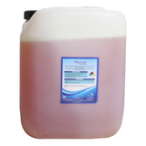 Pool Cleaner 20l Alguicida Alga Negra  Para Alberca