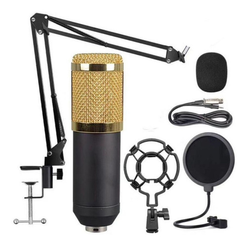 Microfone Youtuber Condensador Estúdio Bm800 Kit Braço Pop