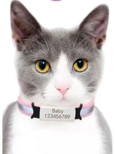 Placas Personalizadas Para Collar Gato