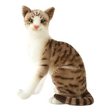 Peluche Gato Realista Suavecito 20cm Kitty Siames Naranja