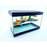 Terrario N5 Grande 40x19x25cm Tartaruga Aquario Beteira Full