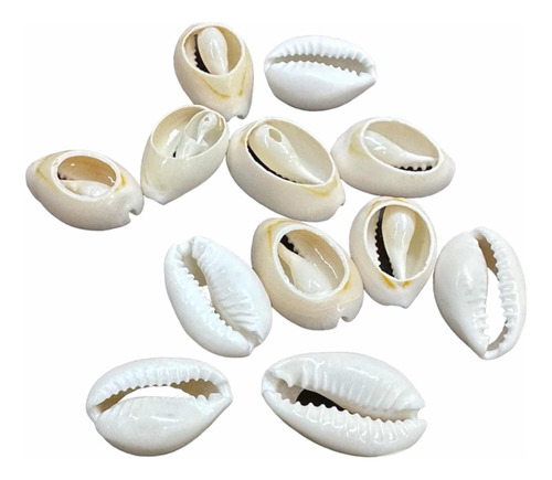 Buzio Caracol Cortado Deco Bijoux Trencita 250 Grmos Oferta!