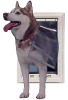Puerta Ideal Para Mascotas Con Doble Solapa, Talla Xl, Blanc