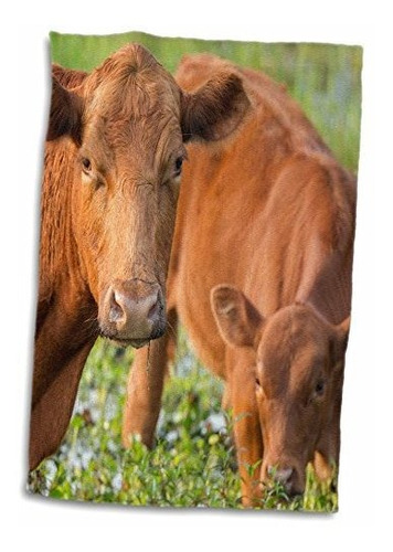 Toalla De Mano 3d Rose Red Angus Para Vacas Y Terneros De Po