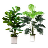 2 Plantas Artificiales, Hojas De Violín, Palmera Tropical Si