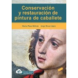 Libro Conservacion Y Restauracion De Pintura De Caballete...