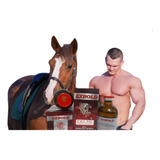 2 Frascos Exx--bold50ml Massa Muscular Cavalos De Vaquejada 