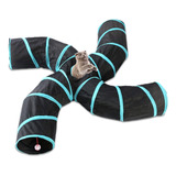 Cat Play Tunnel Play Cats Kitty Tunnel Cachorros