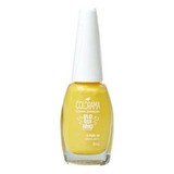 Esmalte Cintilante Colorama Bloquinho 3 Por 10 8ml