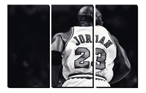 Cuadro Decorativo Triptico Michael Jordan