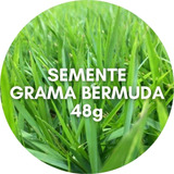 Semente De Grama Bermuda Fina Kit Com 48g Pronto P/ Plantio