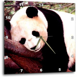 Dpp   Panda Reloj De Pared Oso  Pulgadas Multicolor