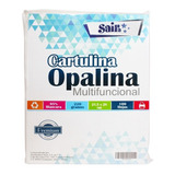 Papel Opalina Cartulina Blanca Carta 220 Gr 100 Hoja Premium