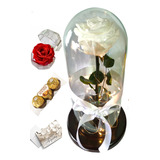 Rosa Preservada Natural Color Blanca + Luz Led + Obsequios