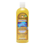  Shampoo Raramuri Caballo Orgánico 400 Ml