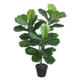 Ficus Lyrata De 100 Cm, Vadell Home