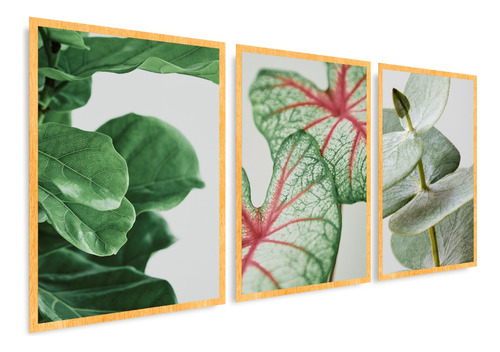 Quadros Para Sala Folhas Verdes Plantas Moldura Grande Luxo